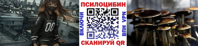 Псилоцибиновые грибы Psilocybe  Верхняя Пышма 
